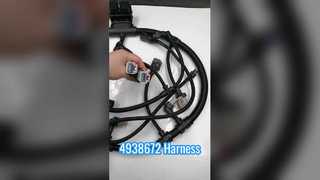 4938672 हार्नेस